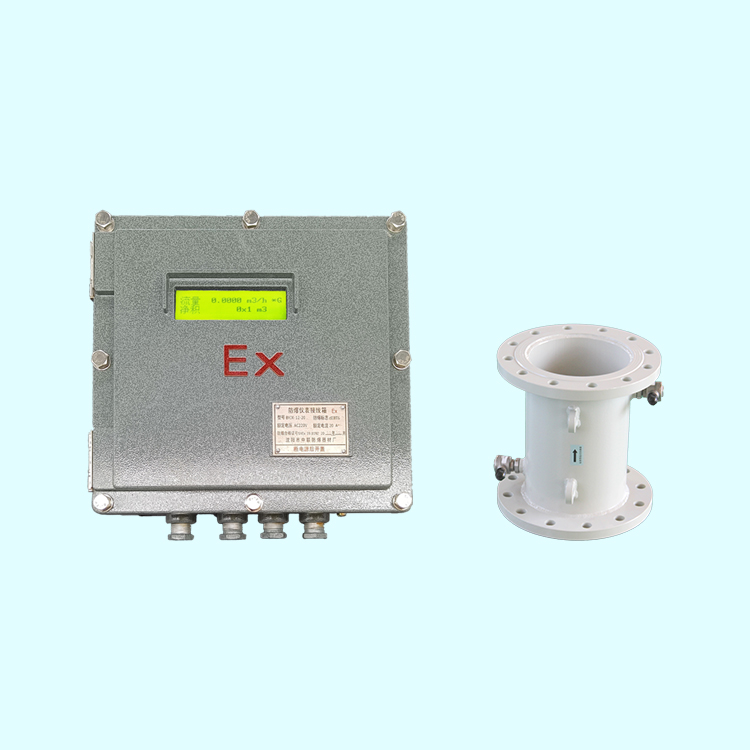 防爆管段式超聲波流量計(jì)BT6