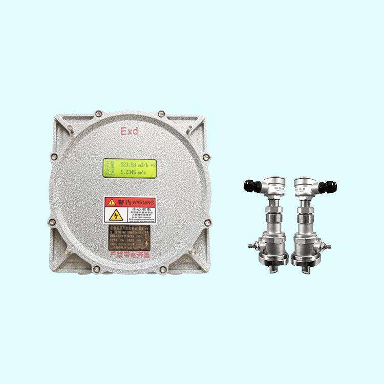 防爆插入式超聲波流量計(jì)CT6