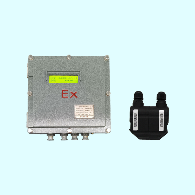 防爆外夾式超聲波流量計(jì)BT6